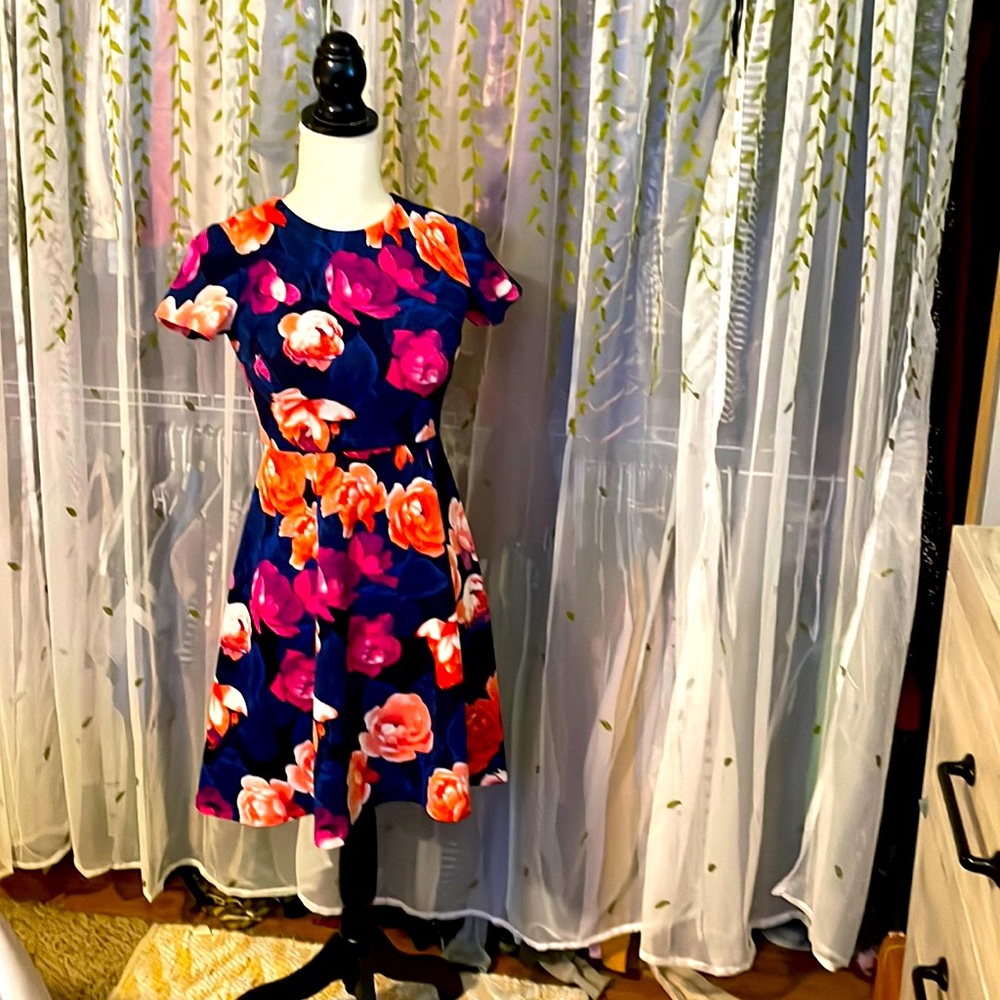 Eliza J Floral Dress - Vibrant Pink and Orange - Women's Size 0